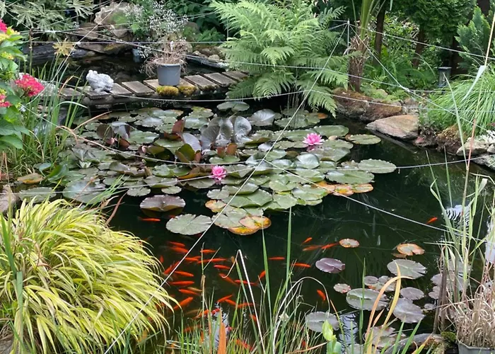 Cs Casa Serena * Gambarogno