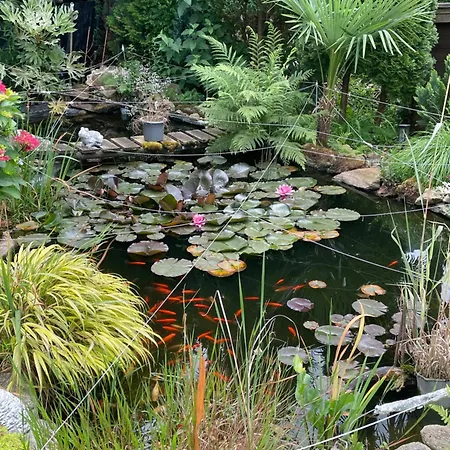 Cs Casa Serena * Gambarogno